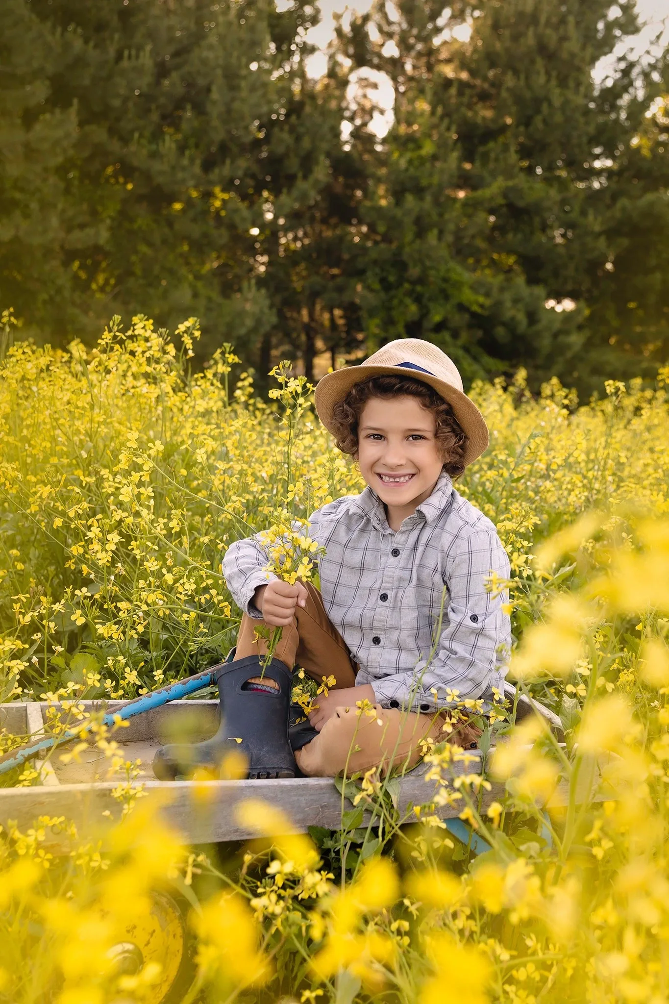 Petit garçon accroupi dans un champ de fleurs jaunes