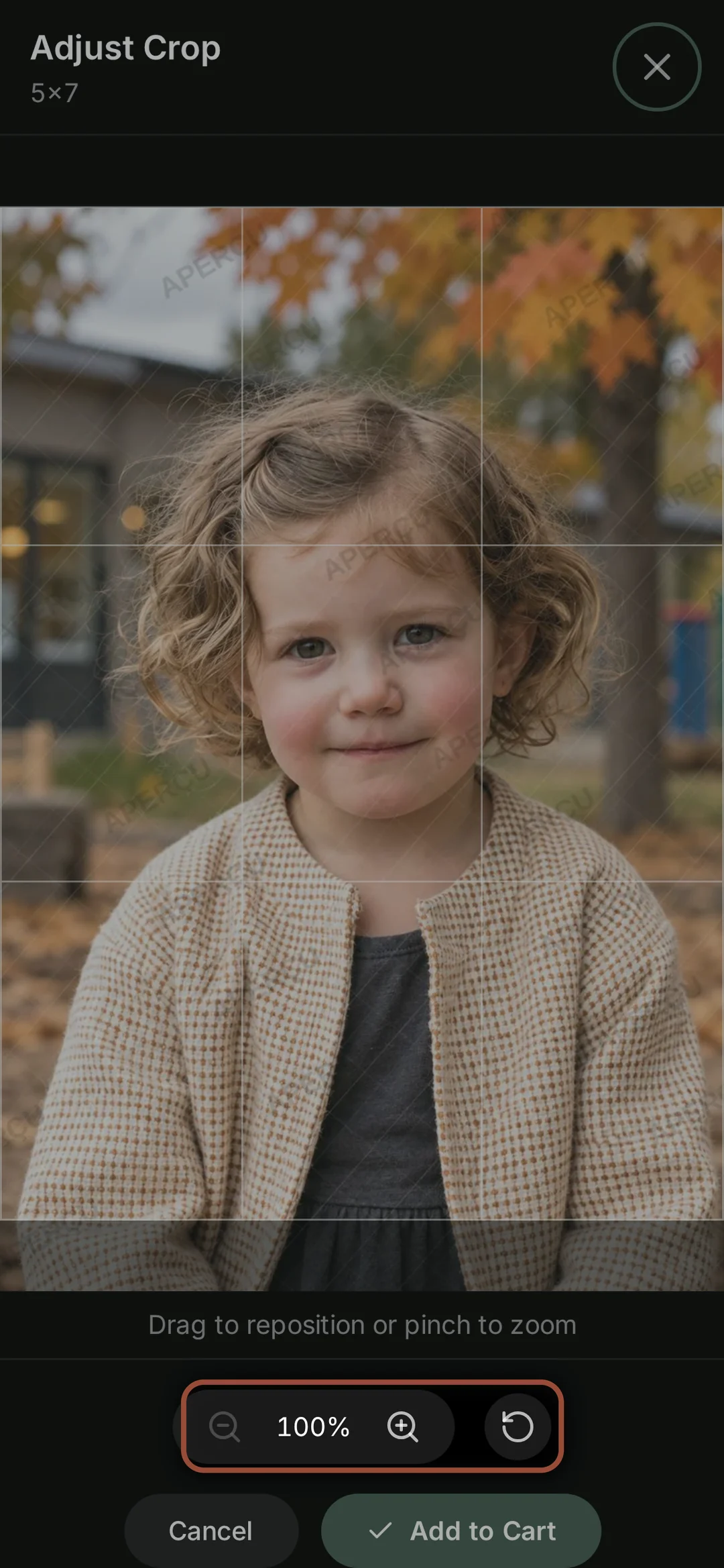 Adjusting the crop — step 23, on a phone