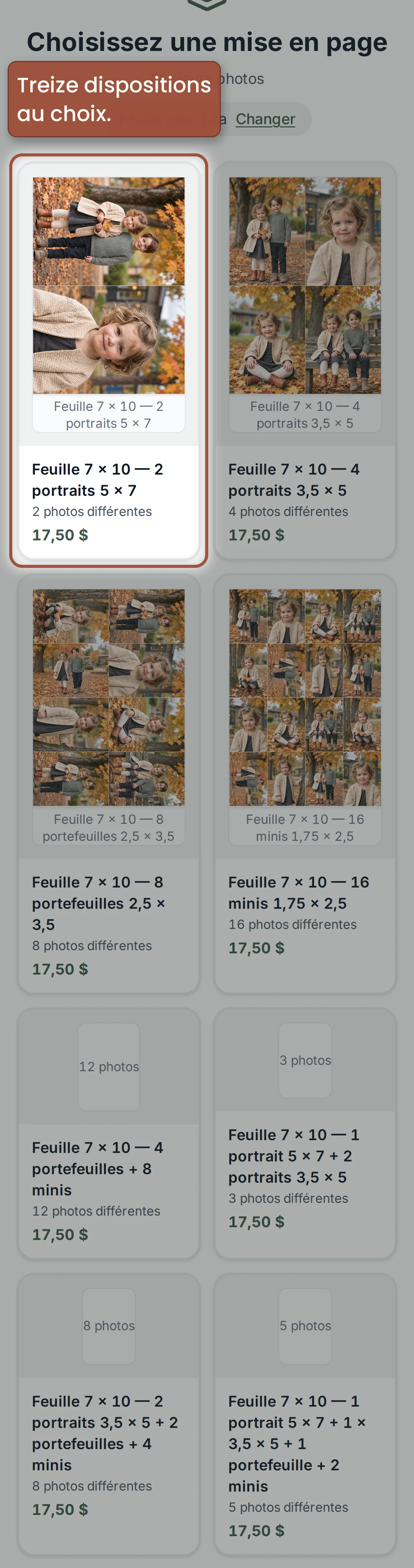 Les treize dispositions de feuille — étape 16, sur téléphone