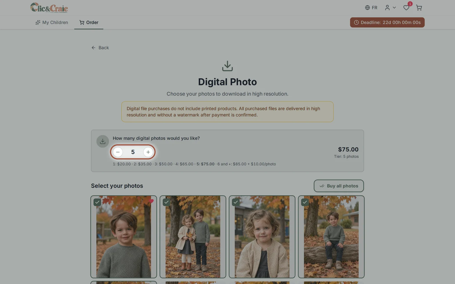 The digital file price tier — step 11